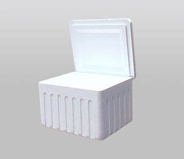 CAJA TÉMRICA F11