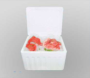 CAJA TÉMRICA 24 lt