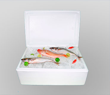CAJA TÉMRICA 27 lt