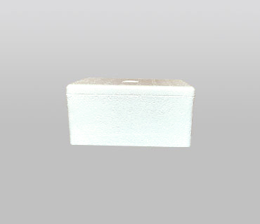 CAJA TÉMRICA F02 BB