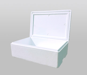CAJA TÉMRICA 27 lt