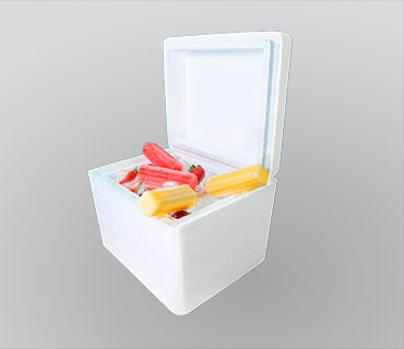 CAJA TÉRMICA